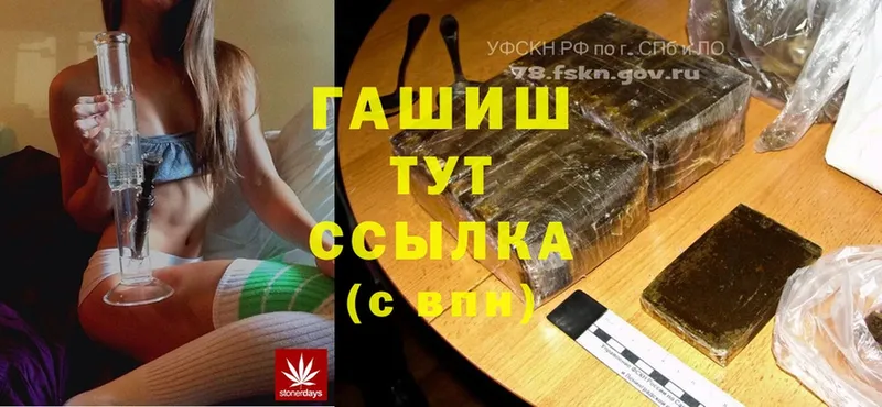 Сколько стоит Тверь Псилоцибиновые грибы  MDMA  Кокаин  гидра ссылка  МЕФ 