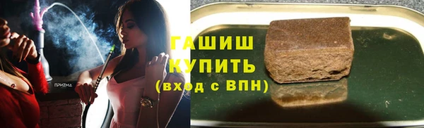 бошки Белокуриха